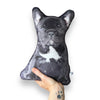 Custom Pet Photo Pillow MrsCopyCat