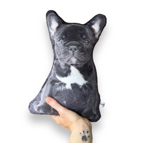 Custom Pet Photo Pillow MrsCopyCat