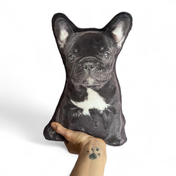 Custom Pet Photo Pillow MrsCopyCat