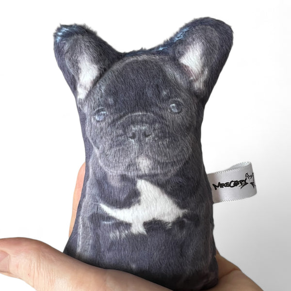 Custom Pet Photo Pillow MrsCopyCat