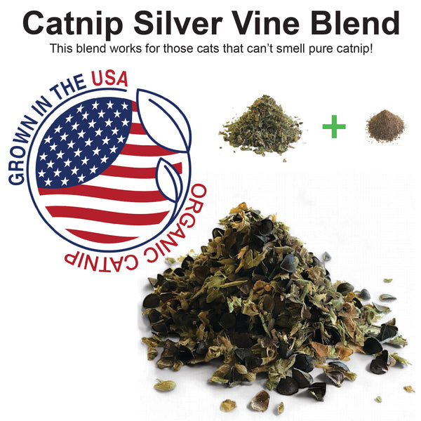 Organic Catnip Silver Vine Blend