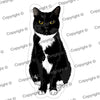 Tuxedo Cat Vinyl Sticker PLOOMY MrsCopyCat