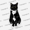 Tuxedo Cat Vinyl Sticker PLOOMY MrsCopyCat
