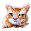 Maine Coon Cat Pillow GUS MrsCopyCat