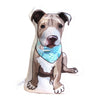Pitbull Puppy Dog Plush Toy Pillow SPIKE MrsCopyCat